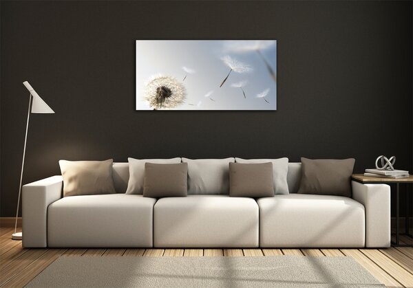 Foto obraz fotografie na skle Pampeliška osh-7095311