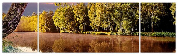 Obraz - Za řekou (170x50 cm)