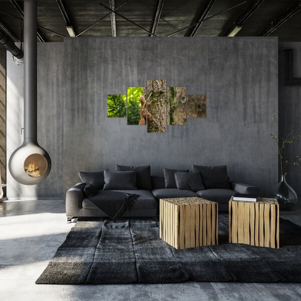 Obraz - Veverka (125x70 cm)