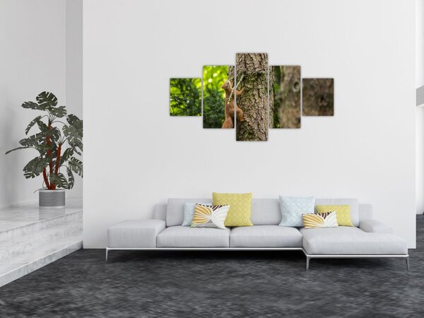 Obraz - Veverka (125x70 cm)