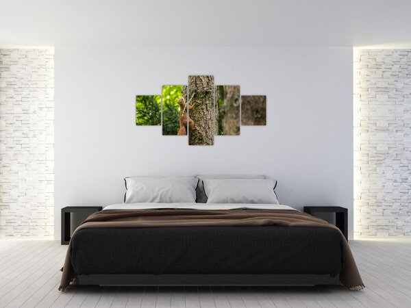 Obraz - Veverka (125x70 cm)