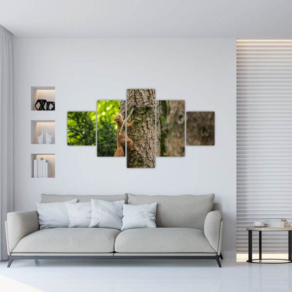Obraz - Veverka (125x70 cm)
