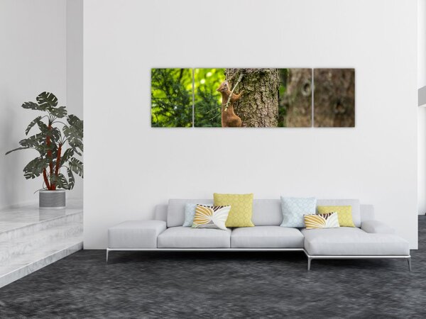 Obraz - Veverka (170x50 cm)