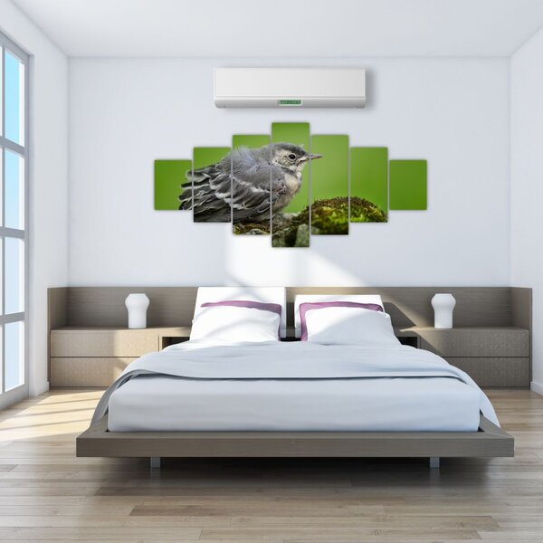 Obraz - Lejsek (210x100 cm)