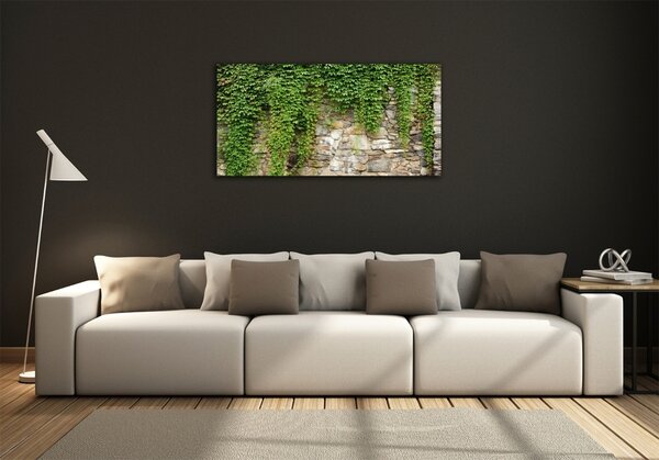 Foto obraz sklo tvrzené Zelený břečťan osh-71552846