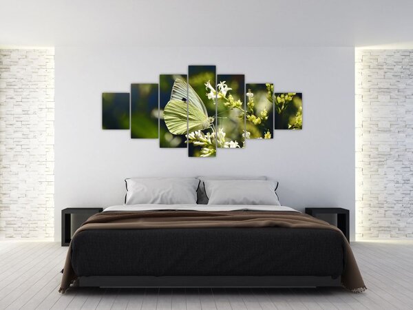 Obraz motýla (210x100 cm)