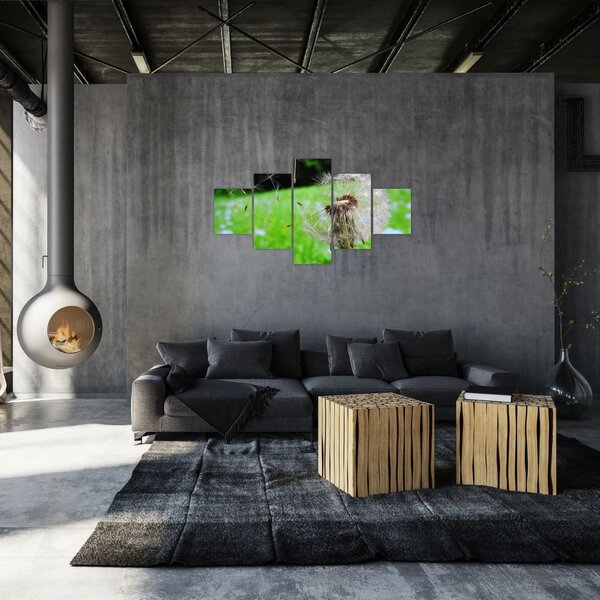 Obraz pampelišky (125x70 cm)