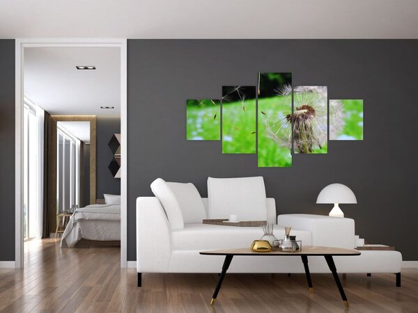 Obraz pampelišky (125x70 cm)