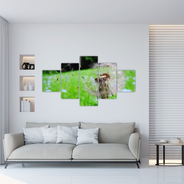 Obraz pampelišky (125x70 cm)