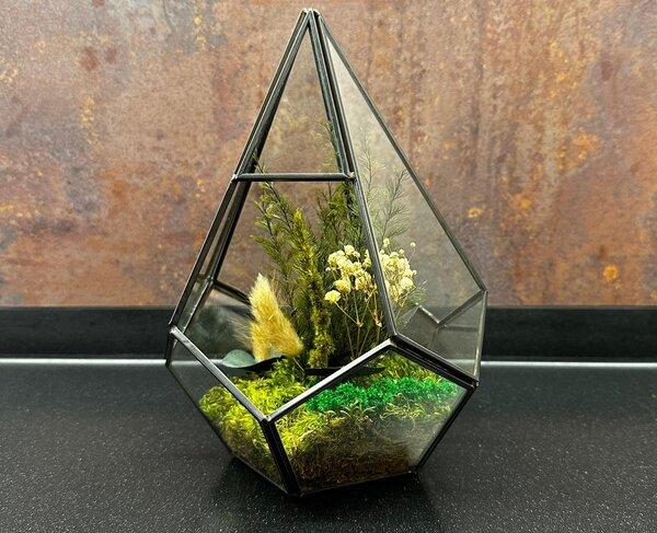 Terárium ze stabilizovaného mechu a rostlin - Pyramid