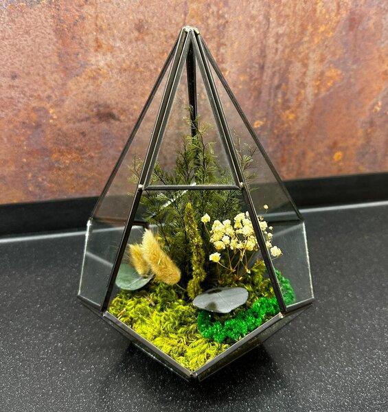 Terárium ze stabilizovaného mechu a rostlin - Pyramid