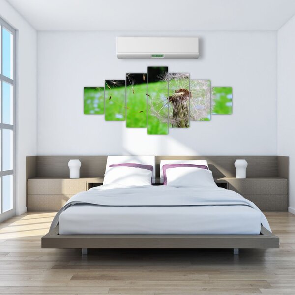 Obraz pampelišky (210x100 cm)