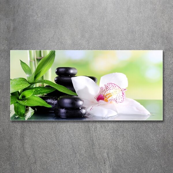 Foto obraz sklo tvrzené Orchidej osh-71878177