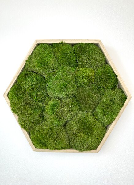Hexagon Jery Velikost rámu: 21cm v nejširším bodě