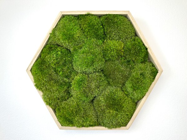Hexagon Jery Velikost rámu: 21cm v nejširším bodě
