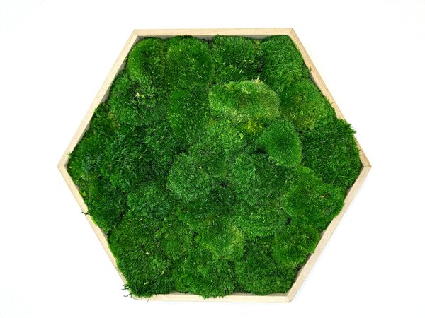 Hexagon Jery Velikost rámu: 21cm v nejširším bodě