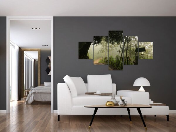 Obraz ranní mlhy (125x70 cm)