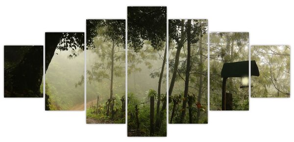 Obraz ranní mlhy (210x100 cm)