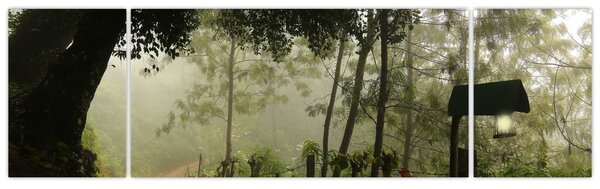 Obraz ranní mlhy (170x50 cm)