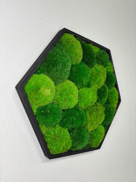 Mechový hexagon Tom Velikost rámu: 21cm v nejširším bodě