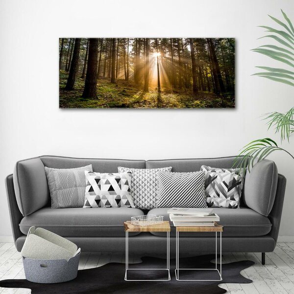 Foto obraz fotografie na skle Sluneční světlo osh-72706491