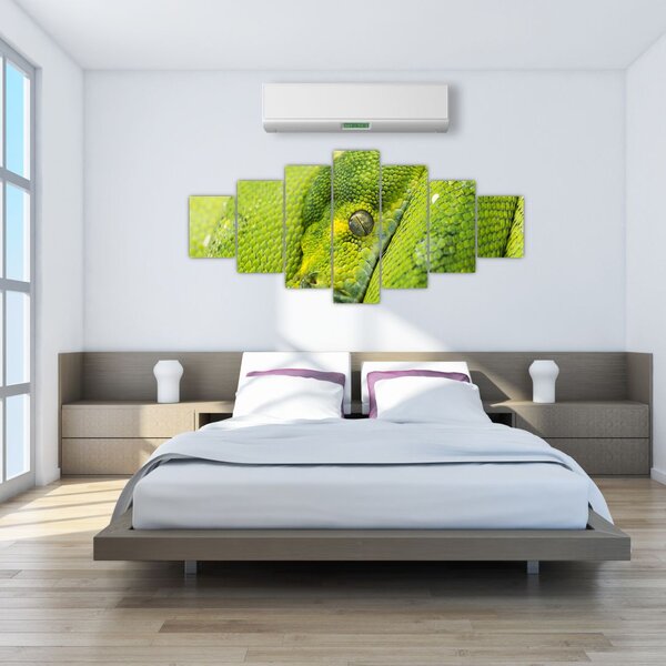 Obraz hada (210x100 cm)