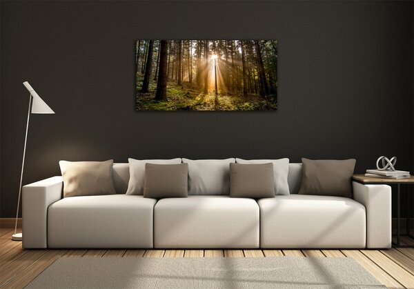 Foto obraz fotografie na skle Sluneční světlo osh-72706491