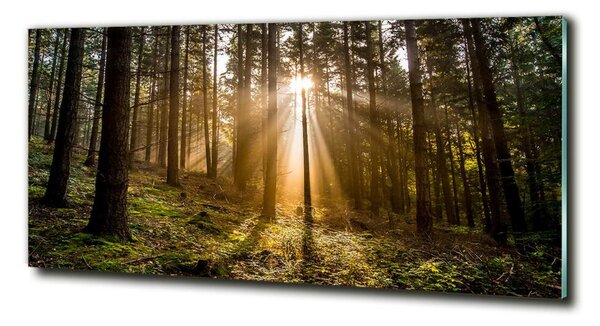 Foto obraz fotografie na skle Sluneční světlo osh-72706491