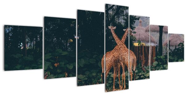 Obraz dvou žiraf (210x100 cm)