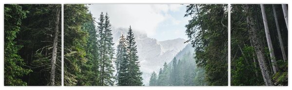 Obraz lesního jezera (170x50 cm)