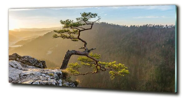 Foto obraz skleněný horizontální Sokolice Pieniny osh-73236563