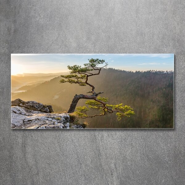 Foto obraz skleněný horizontální Sokolice Pieniny osh-73236563
