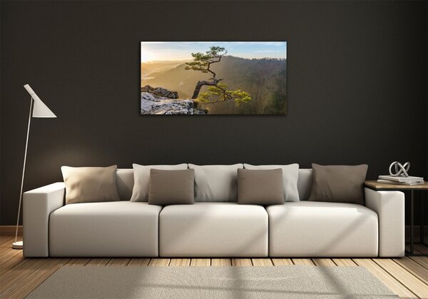 Foto obraz skleněný horizontální Sokolice Pieniny osh-73236563