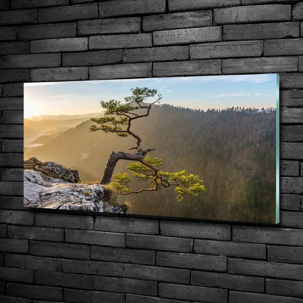 Foto obraz skleněný horizontální Sokolice Pieniny osh-73236563