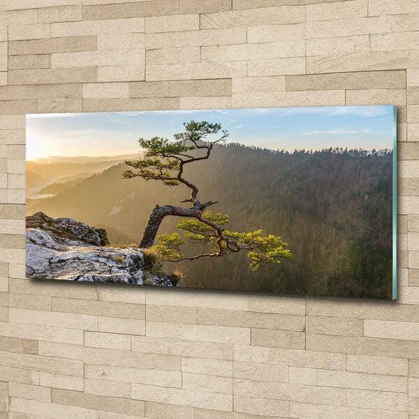 Foto obraz skleněný horizontální Sokolice Pieniny osh-73236563