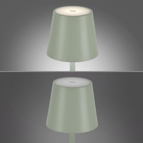 Leuchten Direkt 19250-43 - LED Venkovní nabíjecí lampa EURIA LED/3W/5V IP54
