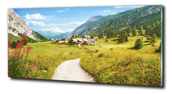 Foto obraz skleněný horizontální Pastvina v Alpách osh-73408586