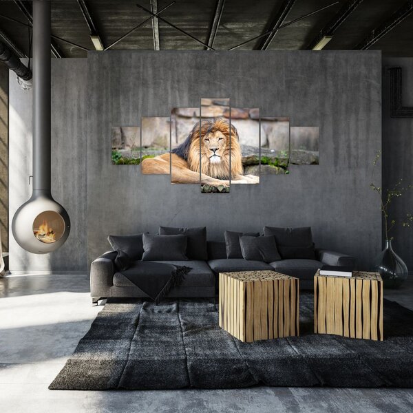 Obraz lva (210x100 cm)