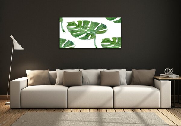 Fotoobraz na skle Monstera osh-73453998