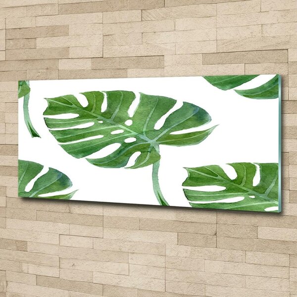 Fotoobraz na skle Monstera osh-73453998