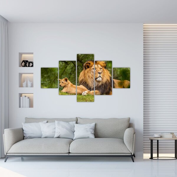 Obraz lvů (125x70 cm)
