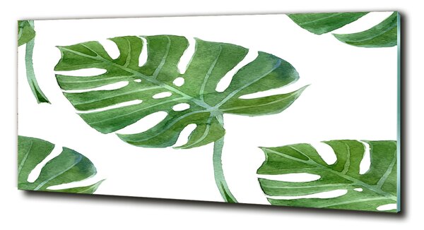 Fotoobraz na skle Monstera osh-73453998