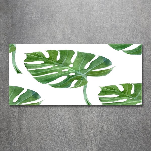 Fotoobraz na skle Monstera osh-73453998