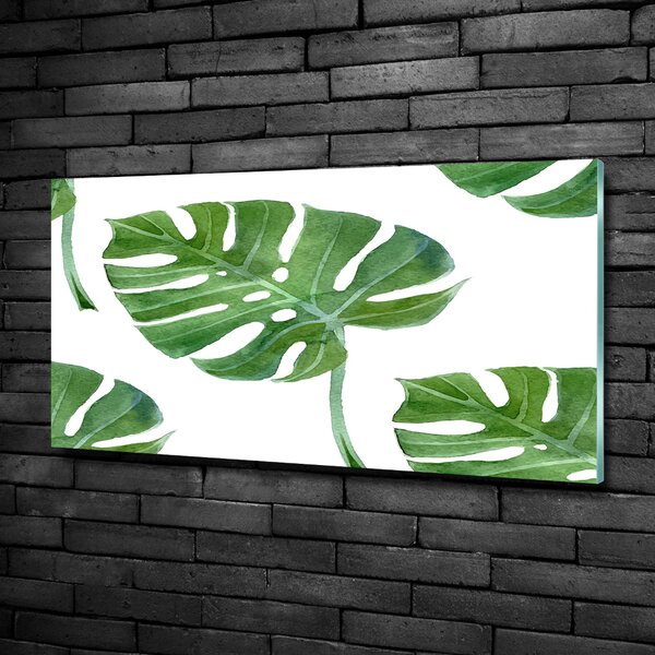 Fotoobraz na skle Monstera osh-73453998