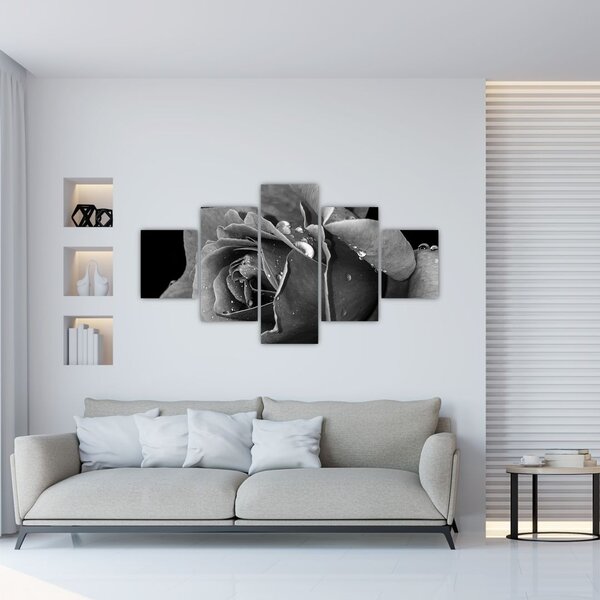 Obraz růže - černobíla (125x70 cm)