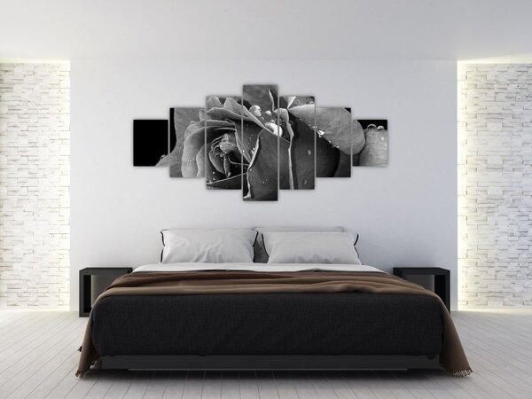 Obraz růže - černobíla (210x100 cm)