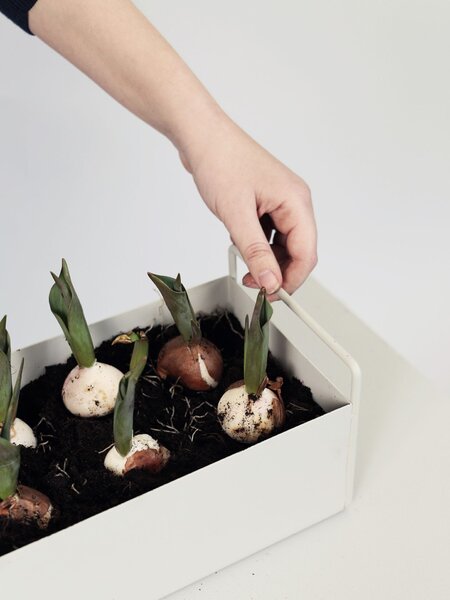 Designový truhlík Plant Box Light Grey