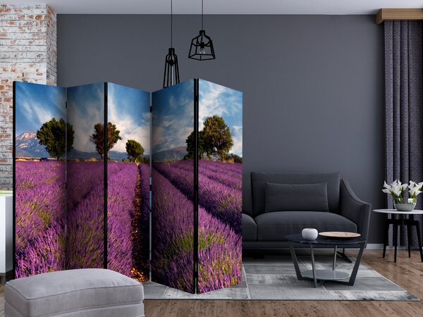 Paraván - Lavender field in Provence, France [Room Dividers]
