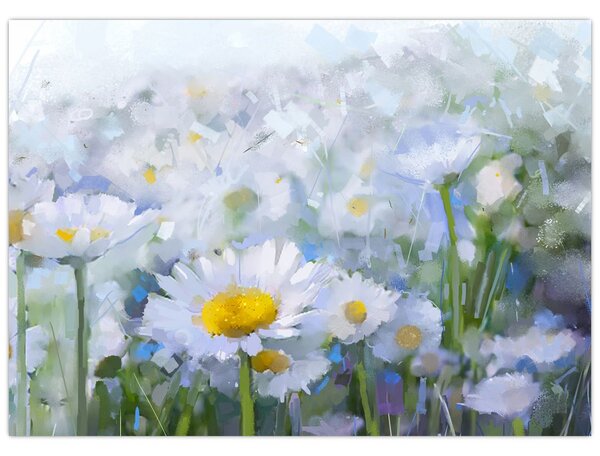 Obraz - V kopretinách (70x50 cm)