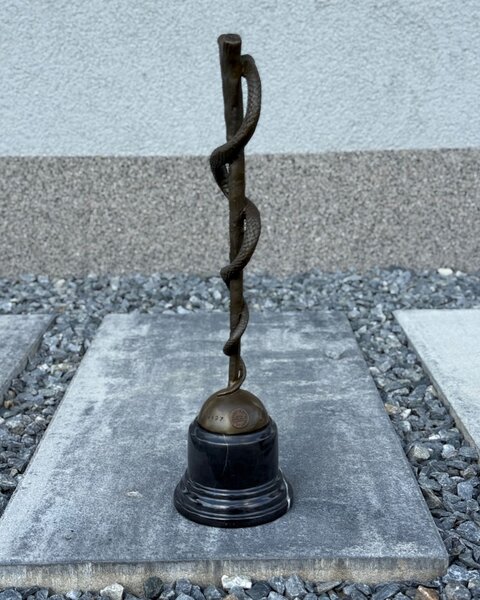 Bronzová socha Hůl Asklépia - lékařská symbolika